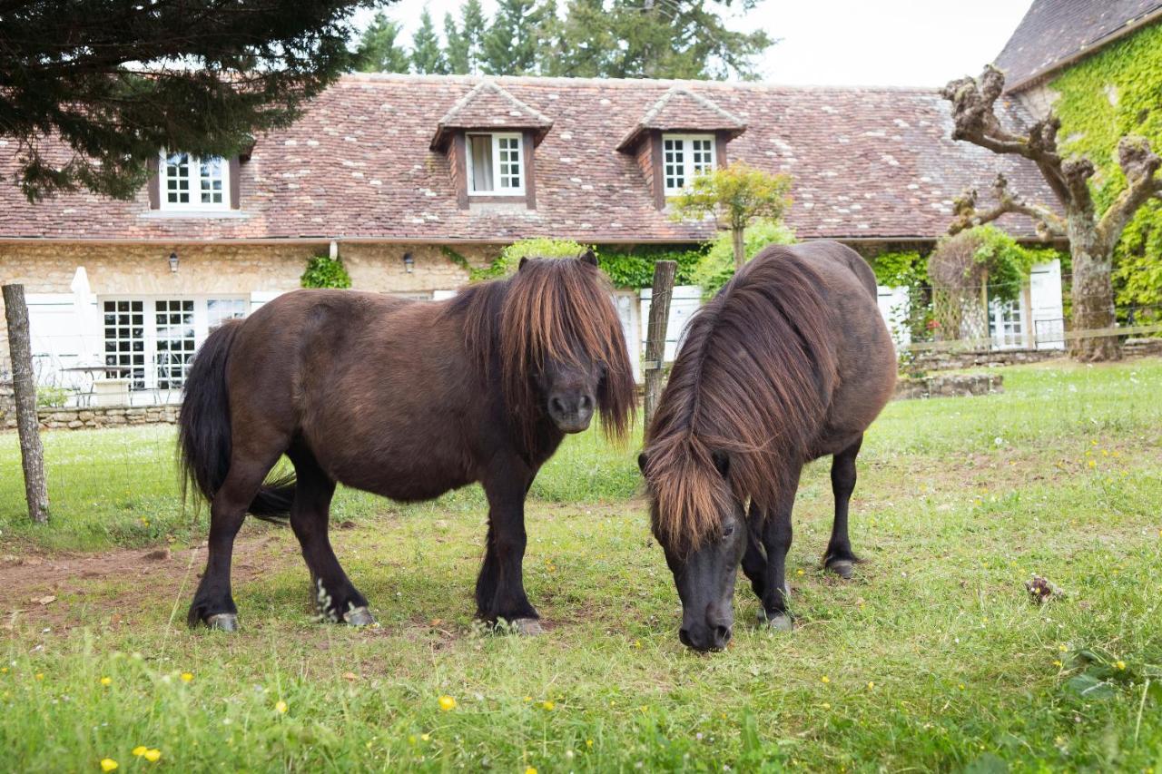 Hotel La Metairie - Teritoria- Les Collectionneurs Mauzac-et-Grand-Castang ภายนอก รูปภาพ